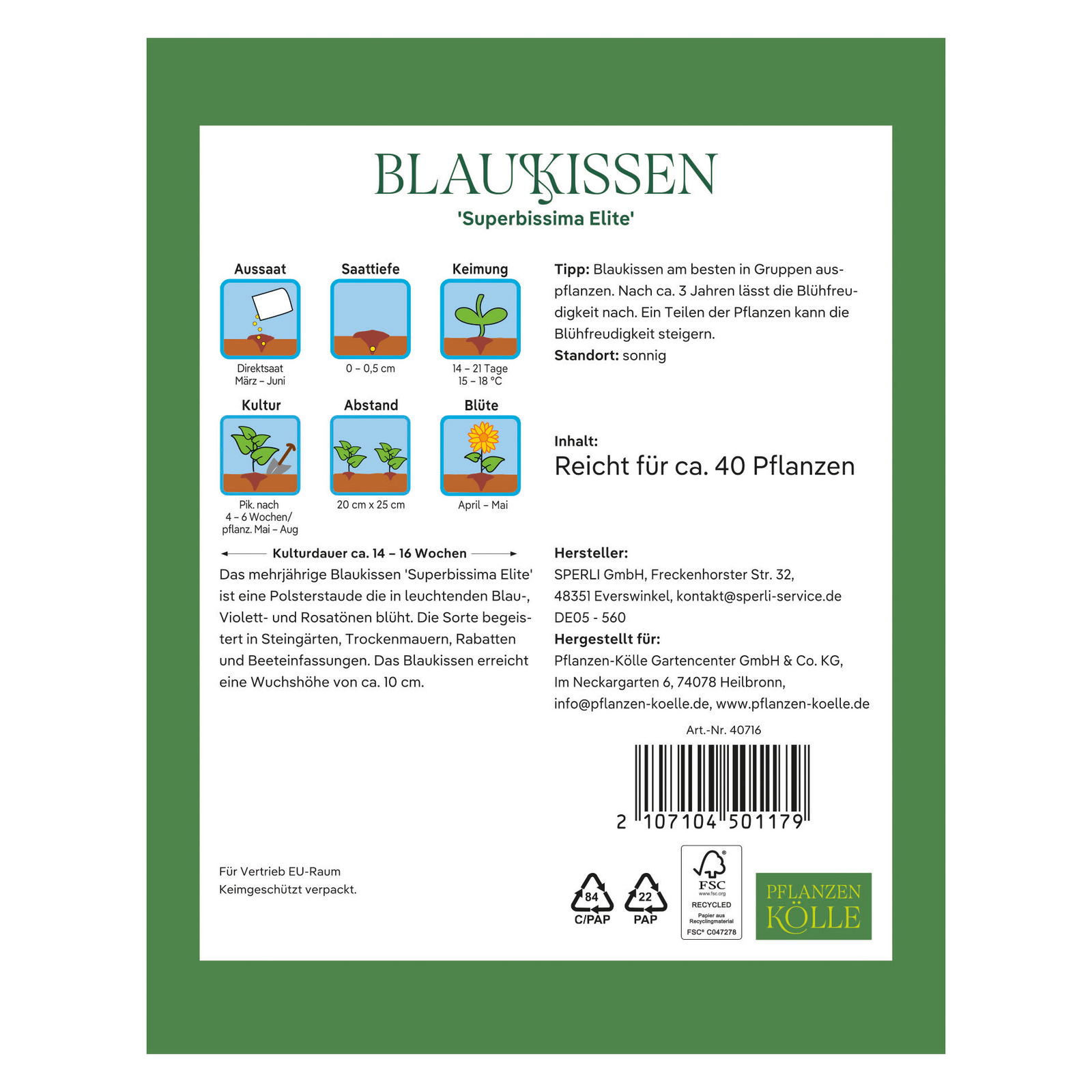 Kölles Beste Blumensamen, Blaukissen 'Superbissima Elite'