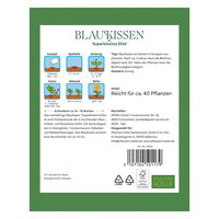 Kölles Beste Blumensamen, Blaukissen 'Superbissima Elite'