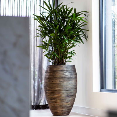 Capi Europe Pflanzvase 'Deluxe', Ø55 x H85 cm