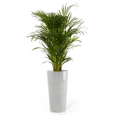 Ecopots Pflanzgefäß 'Amsterdam Midi', weißgrau, ca. Ø 34 x H 66 cm Ecopots Pflanzgefäß 'Amsterdam Midi', weißgrau, ca. Ø 34 x H 66 cm