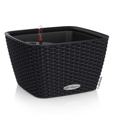 Lechuza 'Bacino Cottage', graphitschwarz, ca. 30 x 30 x H 18 cm Lechuza 'Bacino Cottage', graphitschwarz, ca. 30 x 30 x H 18 cm