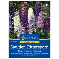 Saatgut, Stauden-Rittersporn 'Magic Fountains'
