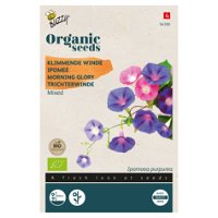 Bio Saatgut, Bio-Trichterwinde, rosa, lila, 3 g