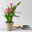 Calla rosa, Topf-Ø 11 cm, Höhe ca. 27 cm, 2er-Set