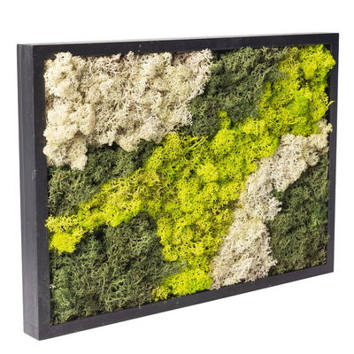 Moosbild eckig, mit schwarzem Rahmen, groß, 38 x 27 cm