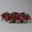 Scheinbeere rot gefärbt, Topf-Ø 13 cm, 6er-Set Scheinbeere rot gefärbt, Topf-Ø 13 cm, 6er-Set