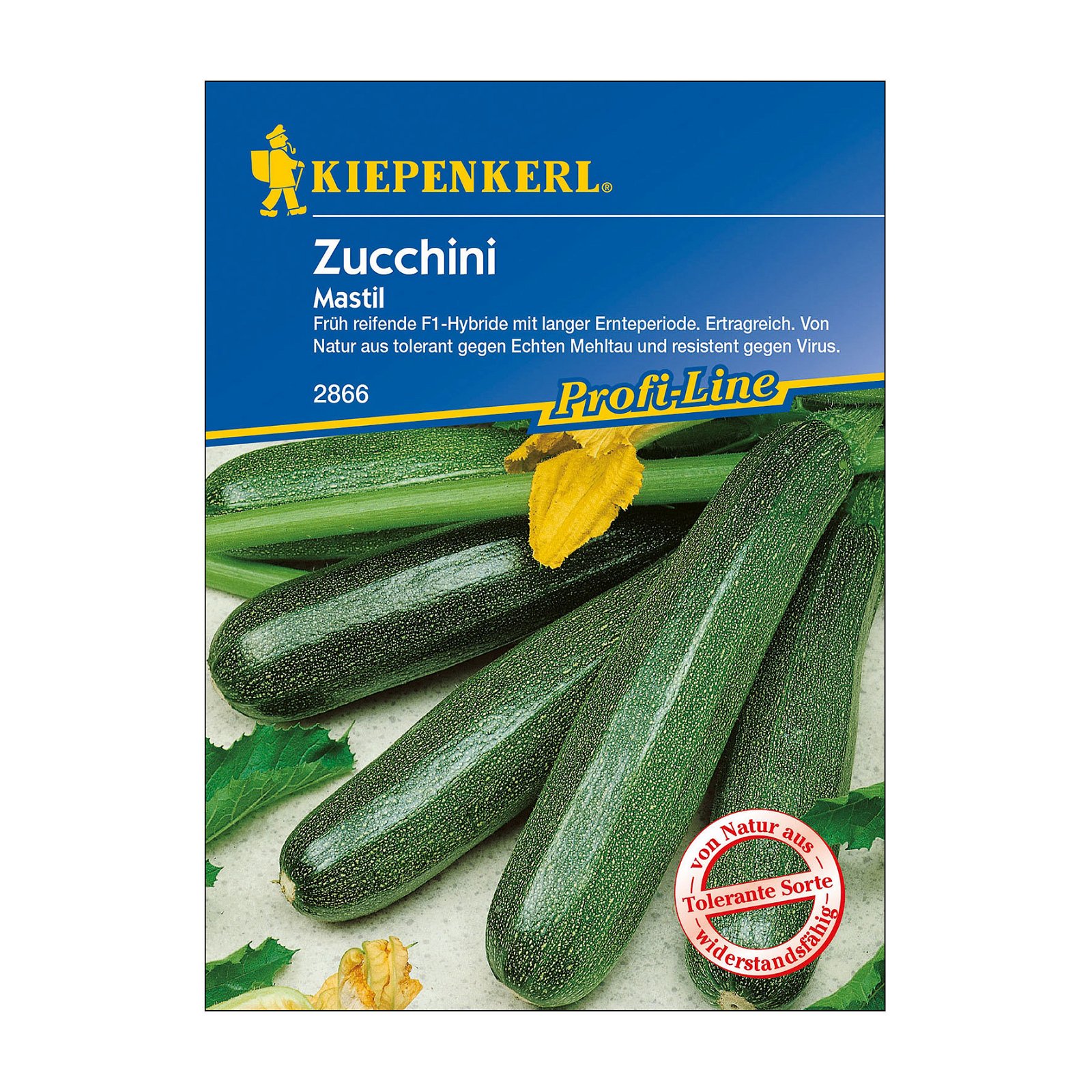 Gemüsesamen, Zucchini 'Mastil'