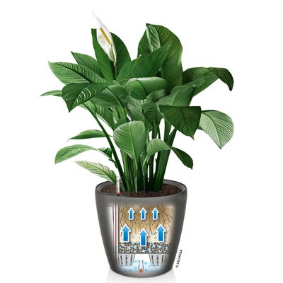 Lechuza 'Cubico 40', scarlet-rot, ca. 40 x 40 x H 75 cm Lechuza 'Cubico 40', scarlet-rot, ca. 40 x 40 x H 75 cm