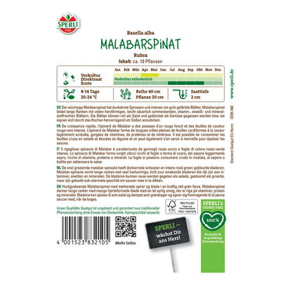 Saatgut Malabarspinat 'Rubra' Saatgut Malabarspinat 'Rubra'