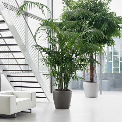 Lechuza 'Classico 70', anthrazit, ca. Ø 70 x H 64,5 cm