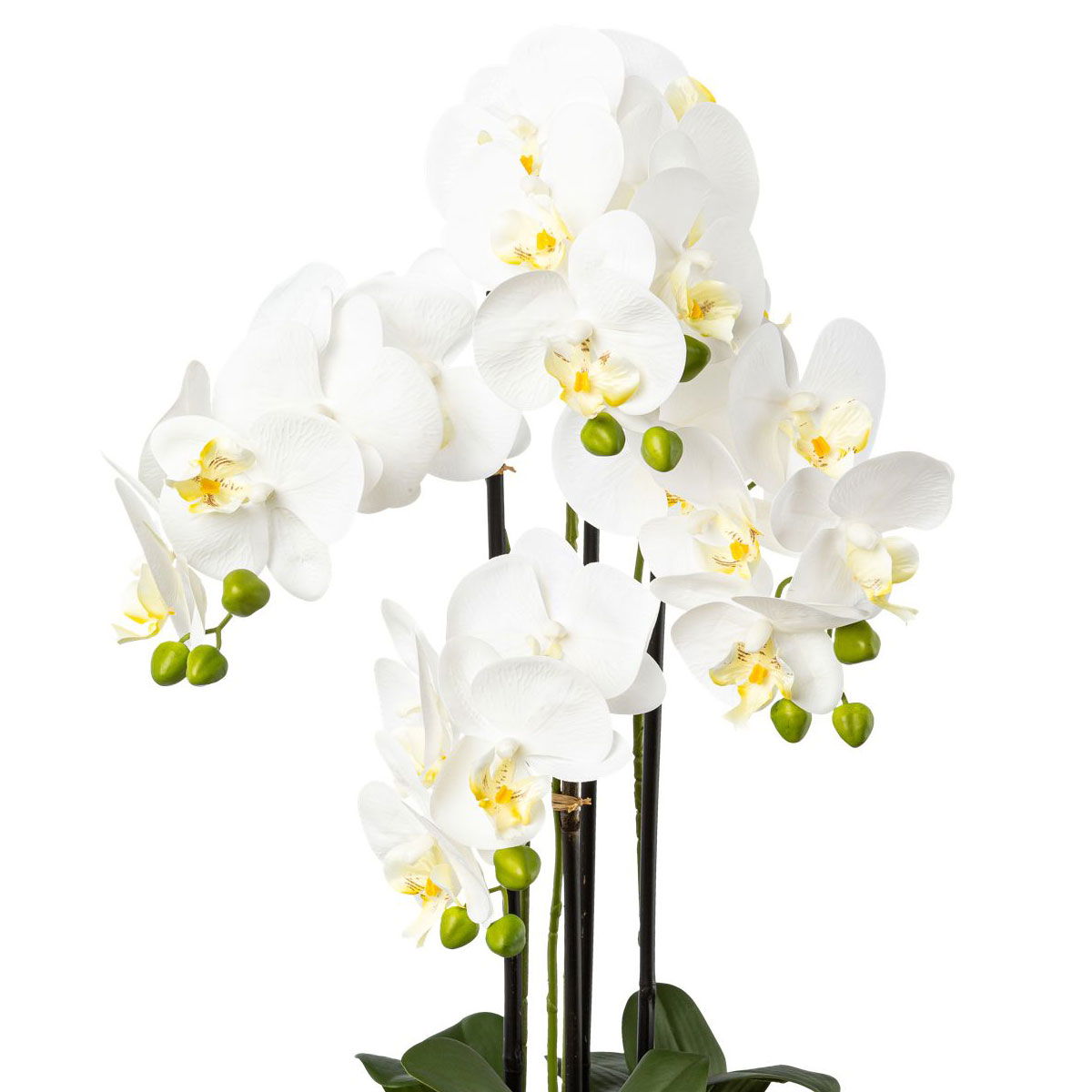 Kunstpflanze Phalaenopsis, weiß, Höhe ca. 69 cm