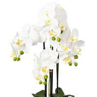 Kunstpflanze Phalaenopsis, weiß, Höhe ca. 69 cm