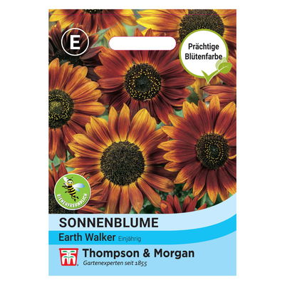 Thompson & Morgan Blumensamen Sonnenblume Earth Walker
