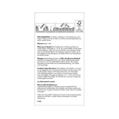 Frühlingsstern Mischung, Größe 5+, 50 Blumenzwiebeln Frühlingsstern Mischung, Größe 5+, 50 Blumenzwiebeln