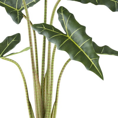 Künstliche Alocasia zebrina 'Sarian', Höhe ca. 100 cm Künstliche Alocasia zebrina 'Sarian', Höhe ca. 100 cm