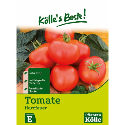 Kölles Beste Gemüsesamen Harzfeuer Kölles Beste Gemüsesamen Harzfeuer