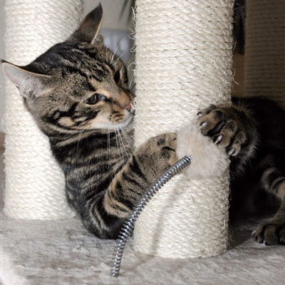 Silvio Design Katzen-Kratzbaum Kitty beige, ca. 45x45x260  cm