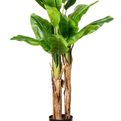 Künstliche Bananenpflanze, Höhe ca. 150 cm Künstliche Bananenpflanze, Höhe ca. 150 cm