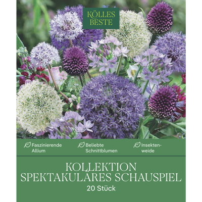 Allium-Blumenmischung 'Spektakuläres Schauspiel', 20 Zwiebeln Allium-Blumenmischung 'Spektakuläres Schauspiel', 20 Zwiebeln