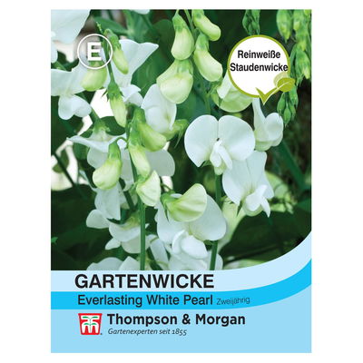 Thompson & Morgan Blumensamen Gartenwicke Everlasting White Pearl