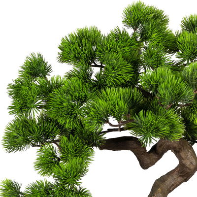Kunstpflanze Bonsai-Kiefer, Höhe ca. 40 cm