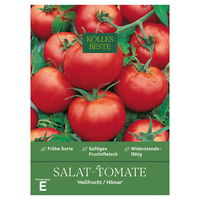Kölles Beste Gemüsesamen, Salattomate 'Hellfrucht/ Hilmar' Kölles Beste Gemüsesamen, Salattomate 'Hellfrucht/ Hilmar'