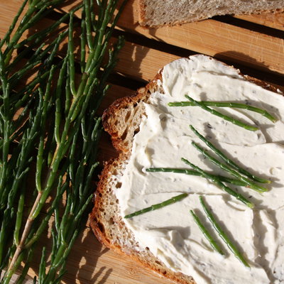 Blu Bio Salzkraut (Queller), Topf-Ø 12 cm, 3er Set Blu Bio Salzkraut (Queller), Topf-Ø 12 cm, 3er Set