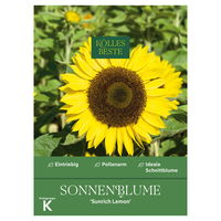 Kölles Beste Blumensamen, Sonnenblume 'Sunrich Lemon'