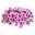 Petunie 'Capella™ Pink Lace' pink, hängend, Topf-Ø 13 cm, 6er-Set