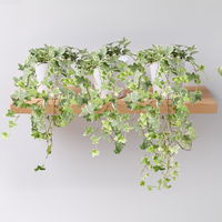 Efeu 'Variegata', Topf-Ø 12/13 cm, in Keramiktopf Dallas weiß, 3 Pflanzen