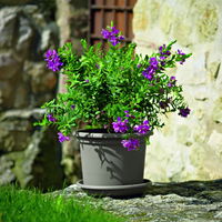 Euro 3 Plast Pflanzkübel 'Geo', taupe, ca. Ø 40 x H 30 cm