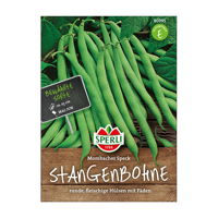 Gemüsesamen, Stangenbohne 'Mombacher Speck'