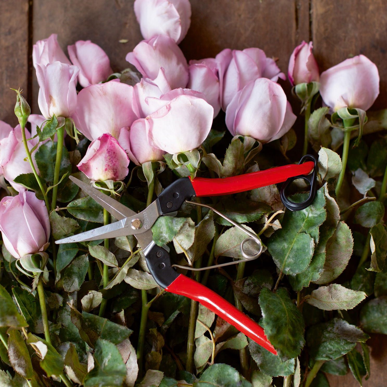 Felco Gartenschere Nr. 322 Felco Gartenschere Nr. 322