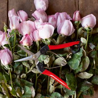 Felco Gartenschere Nr. 322 Felco Gartenschere Nr. 322