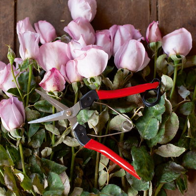 Felco Gartenschere Nr. 322 Felco Gartenschere Nr. 322