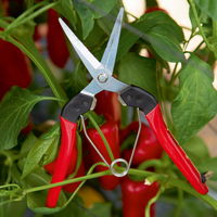 Felco Gartenschere Nr. 322 Felco Gartenschere Nr. 322