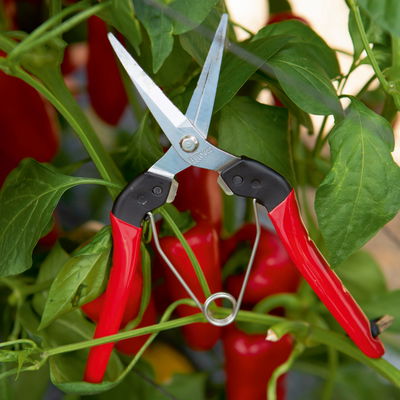 Felco Gartenschere Nr. 322 Felco Gartenschere Nr. 322