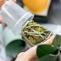 Online Kreativ-Kurs Online Kreativ-Kurs