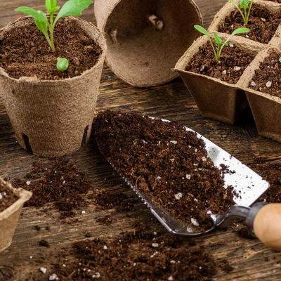 Kölle Bio Anzuchterde, torffrei, 20 Liter