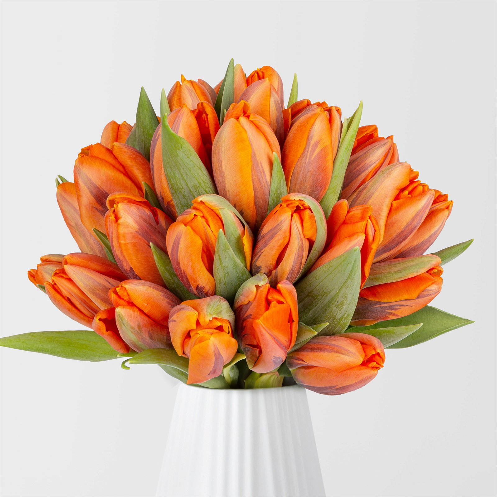 Blumenbund Tulpen 'Princess Irene', 30er-Bund, orange, inkl. gratis Grußkarte