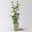 Duo-Gartenhibiskus 'White Chiffon®' und 'Pink Chiffon®', weiß + pink, 5 lt. Topf Duo-Gartenhibiskus 'White Chiffon®' und 'Pink Chiffon®', weiß + pink, 5 lt. Topf
