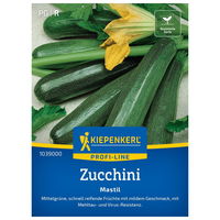 Gemüsesamen, Zucchini 'Mastil'