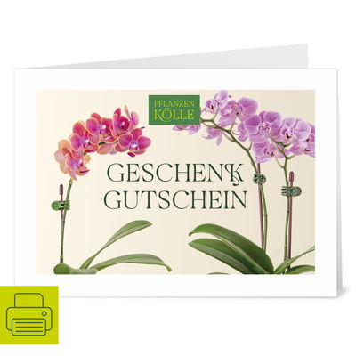 Gutschein zum Ausdrucken 'Orchidee' Gutschein zum Ausdrucken 'Orchidee'