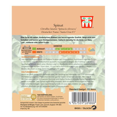Gemüsesamen, Spinat 'Santa Cruz' F1, grün, 400 Stück Gemüsesamen, Spinat 'Santa Cruz' F1, grün, 400 Stück