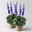 Salvia 'Mystic Spires' blau, Topf-Ø 17 cm, 2er-Set Salvia 'Mystic Spires' blau, Topf-Ø 17 cm, 2er-Set