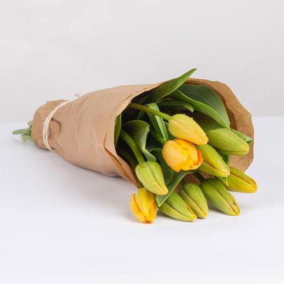 10 lachsorangene Tulpen