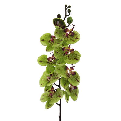 Kunstblume Orchideenzweig, grün-rot, Höhe ca. 98 cm, 3 Stück Kunstblume Orchideenzweig, grün-rot, Höhe ca. 98 cm, 3 Stück