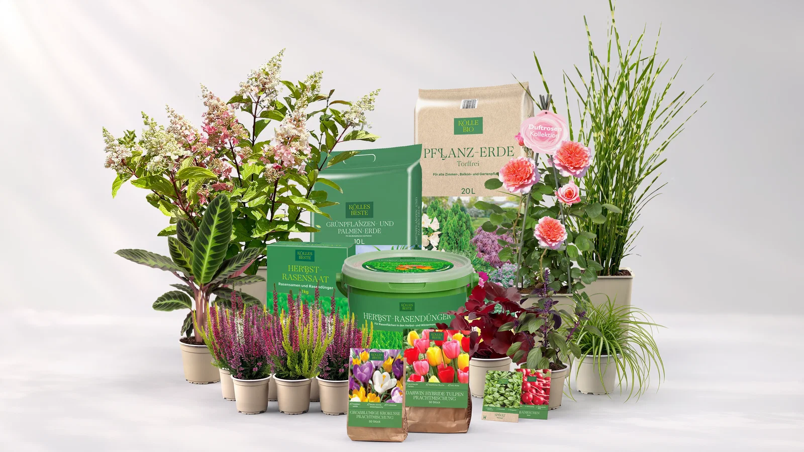 Eine bunte Zusammenstellung unserer Eigenmarken-Produkte Eine bunte Zusammenstellung unserer Eigenmarken-Produkte