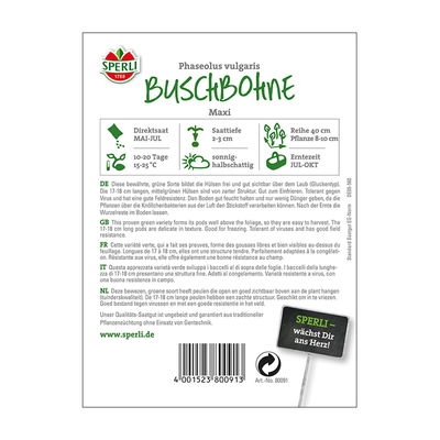Gemüsesamen, Buschbohnen 'Maxi' Gemüsesamen, Buschbohnen 'Maxi'