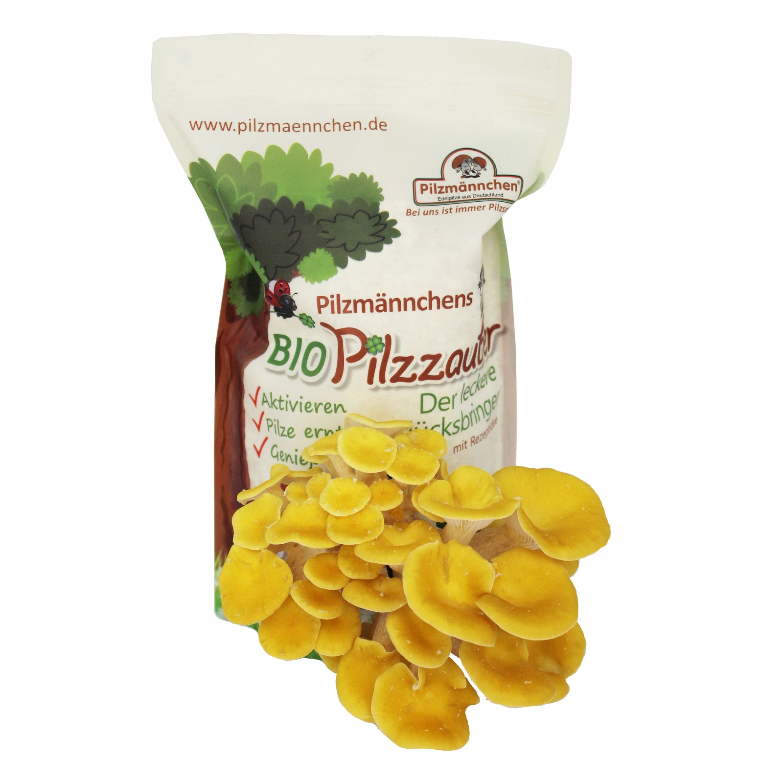 Pilzmännchen Bio Pilzzucht-Tüte Limonenpilz 